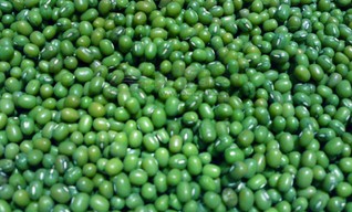 绿色食品绿豆