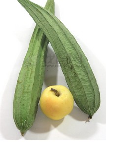 绿色食品丝瓜和苹果
