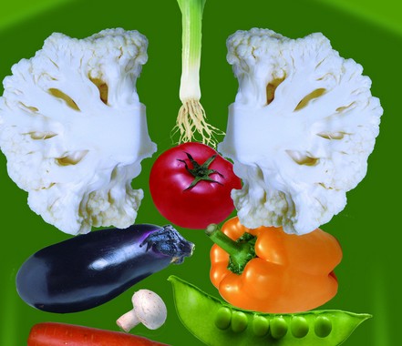 绿色食品素材