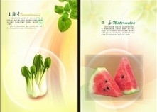 绿色食品西瓜