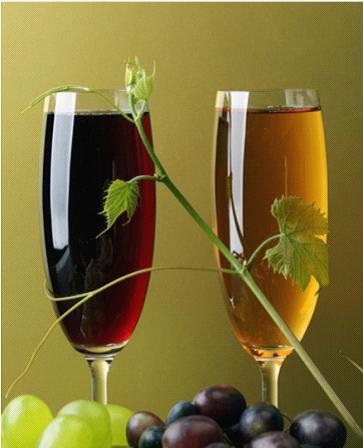 葡萄酒的功效与作用_老年人的滋补佳品