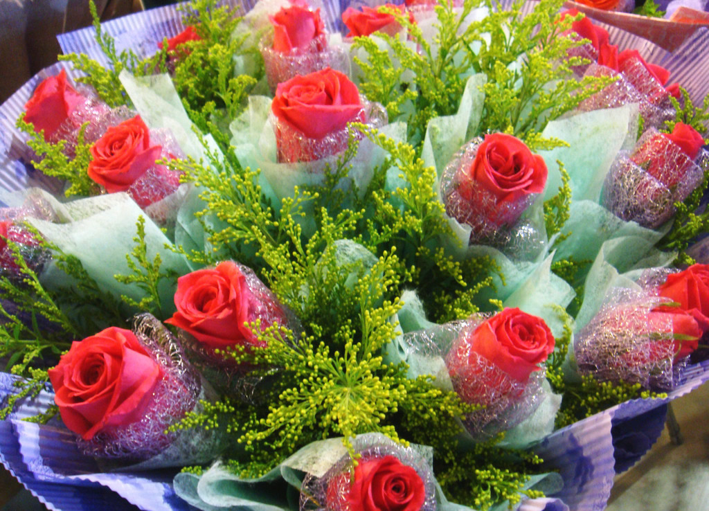 玫瑰花图片 彰显美丽和爱情